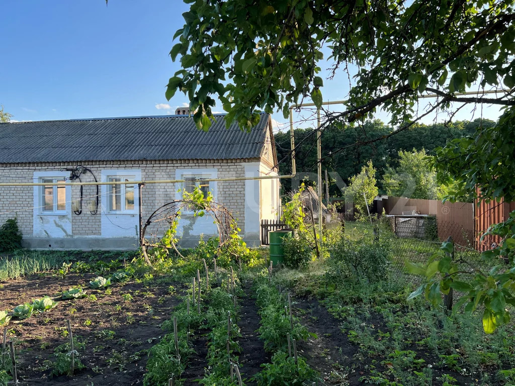 Продажа дома, Культура, Лебедянский район, ул. Центральная - Фото 1