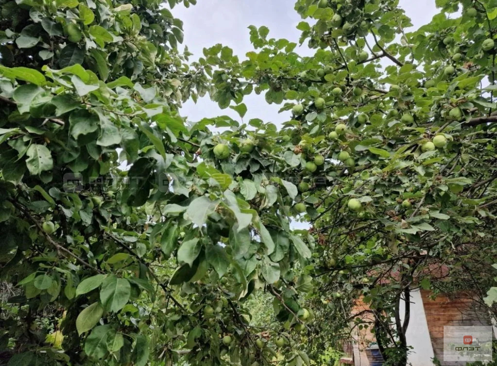 Продажа дома, Казань, садоводческое дачное товарищество Дружба - Фото 31