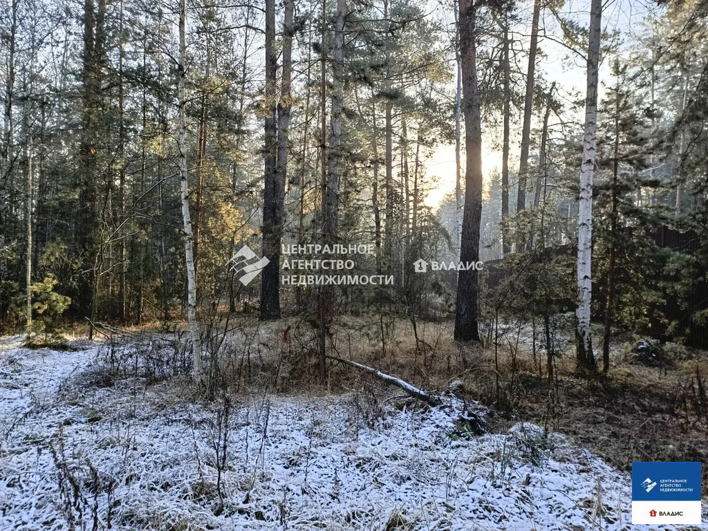 Продажа участка, Алеканово, Рязанский район - Фото 1