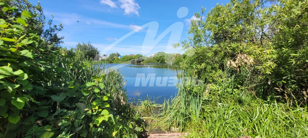 Продажа участка, Андреевка, Солнечногорский район - Фото 23
