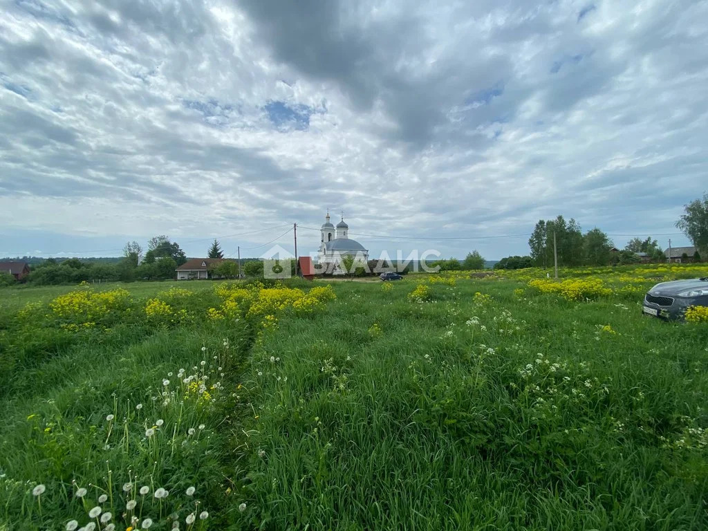 Козельский район, село Ильинское, Центральная улица,  дом на продажу - Фото 39