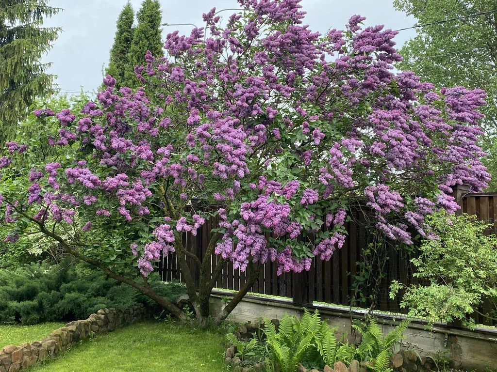 Коттедж 436 м2 на участке 36 сот. - Фото 17