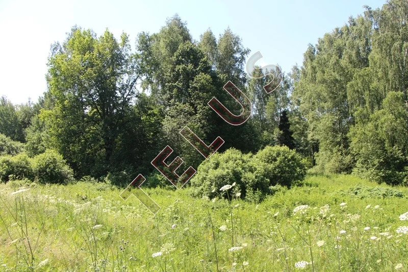 МО, Богородский г.о., с. Богослово, Земельный участок 7 га (ном. ... - Фото 1