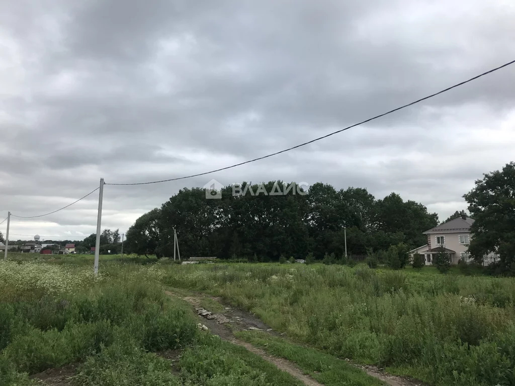 Суздальский район, село Новоалександрово, Солнечная улица,  земля на ... - Фото 12