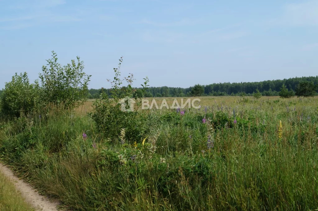 Земельный участок на продажу, Суздальский район, село Суромна - Фото 3