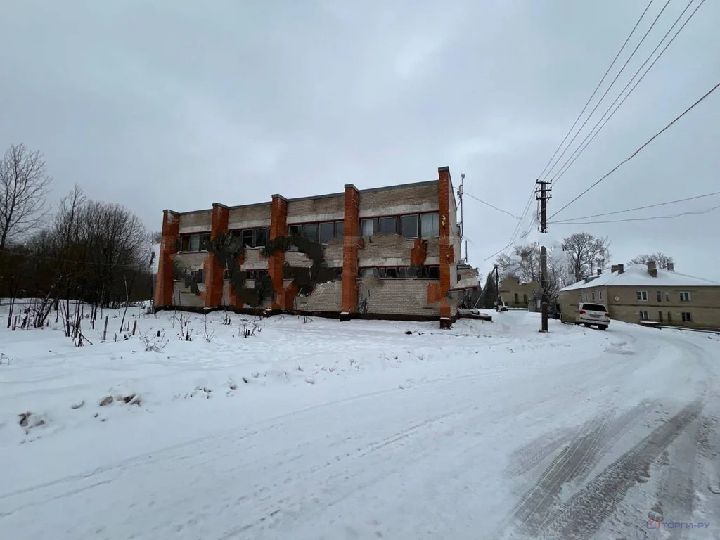 Продажа ПСН, Андромер, Плюсский район, ул. Приозерная - Фото 2