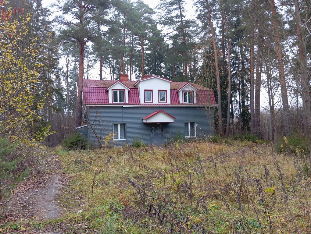 Оздоровительный лагерь "Чайка" - Фото 12