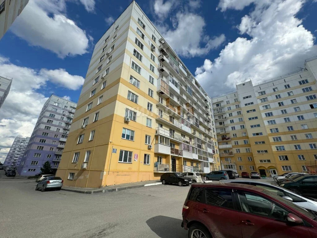 Продажа квартиры, Новосибирск, Виктора Шевелёва - Фото 22