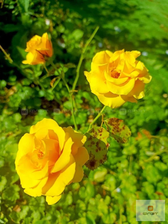 Продажа дома, Казань, тер. СНТ КГУ НПП им В.И.Ленина Лагерная - Фото 21