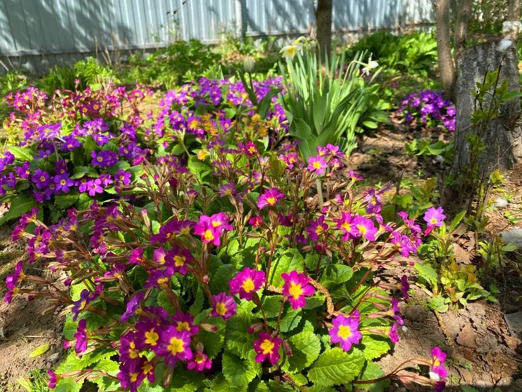 Дом в деревне Тимохино - Фото 24