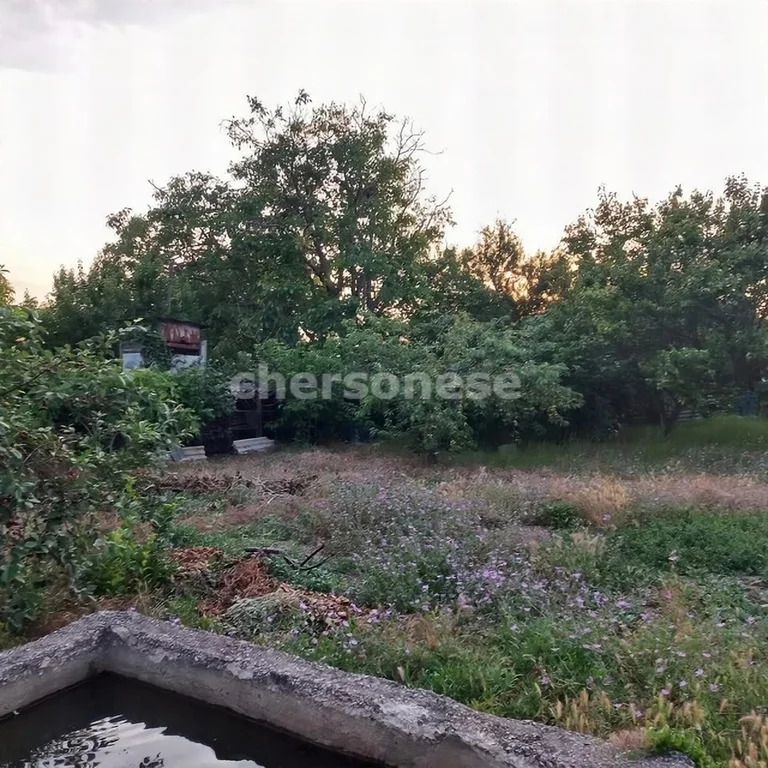 Продажа участка, Севастополь, территория СТ Берёзка - Фото 5