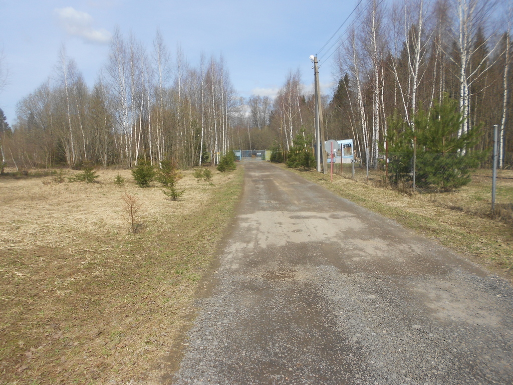 Погода в золотьково