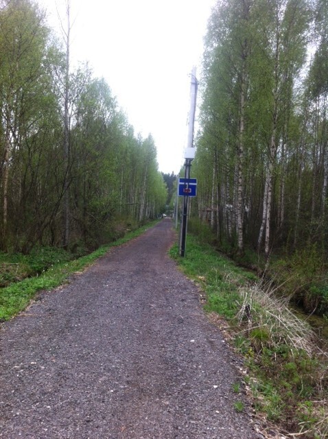 3 38 км. снт пищемаш 2. 3 38 км. куеда пермский край дорога. платформа 38 км каменногорск.