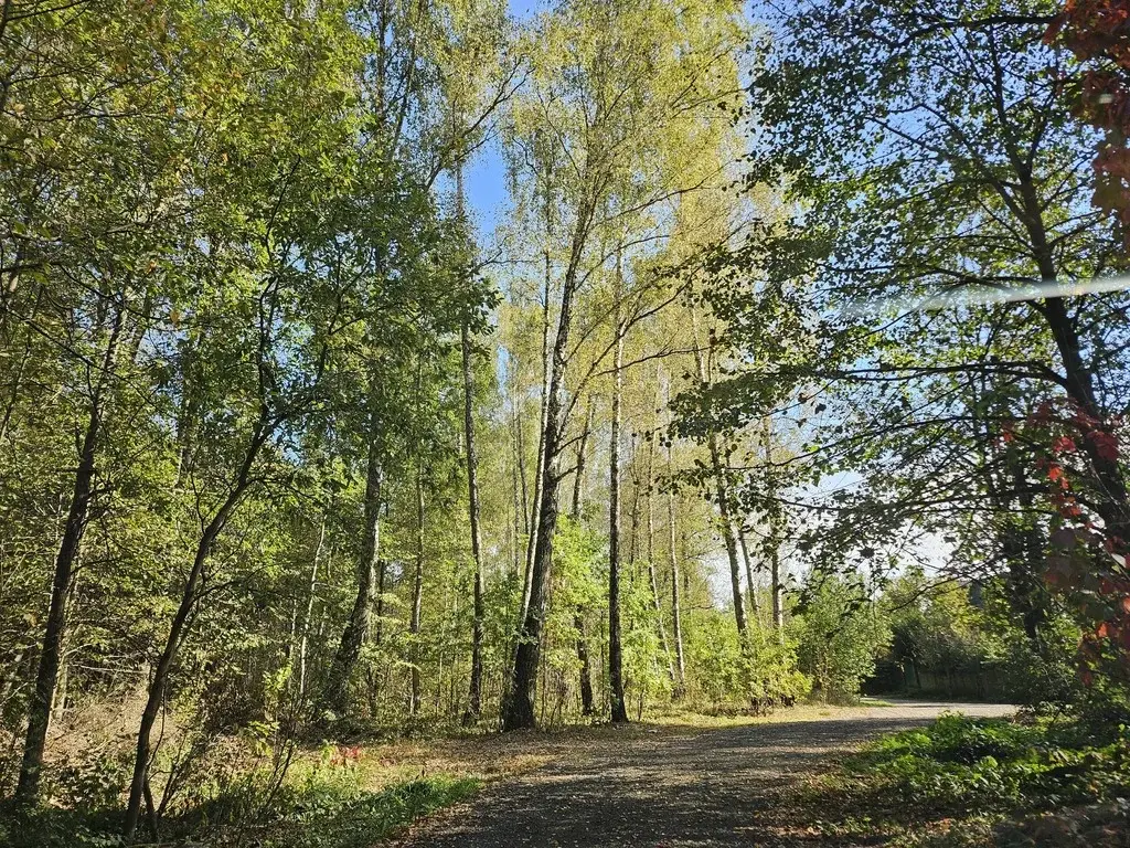 Продажа участка в Новой Москве, СНТ Газовик - Фото 16