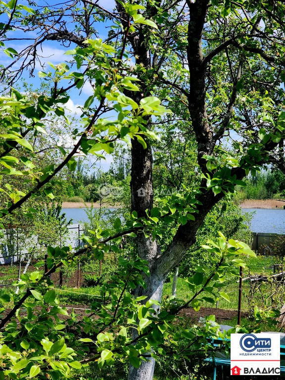 Продажа дома, Семилукский район - Фото 7