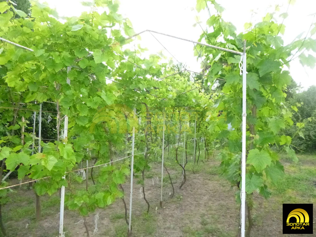 Продажа дома, Вышестеблиевская, Темрюкский район, Советский пер. - Фото 16