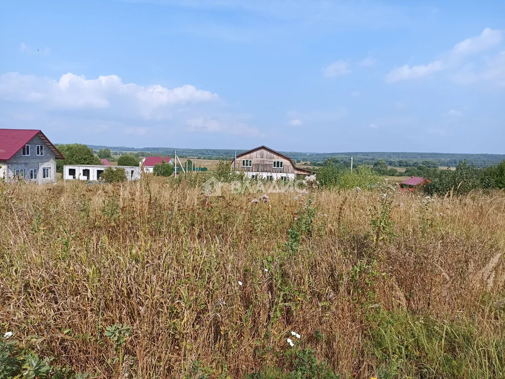 Собинский район, деревня Добрынино, земля на продажу - Фото 9
