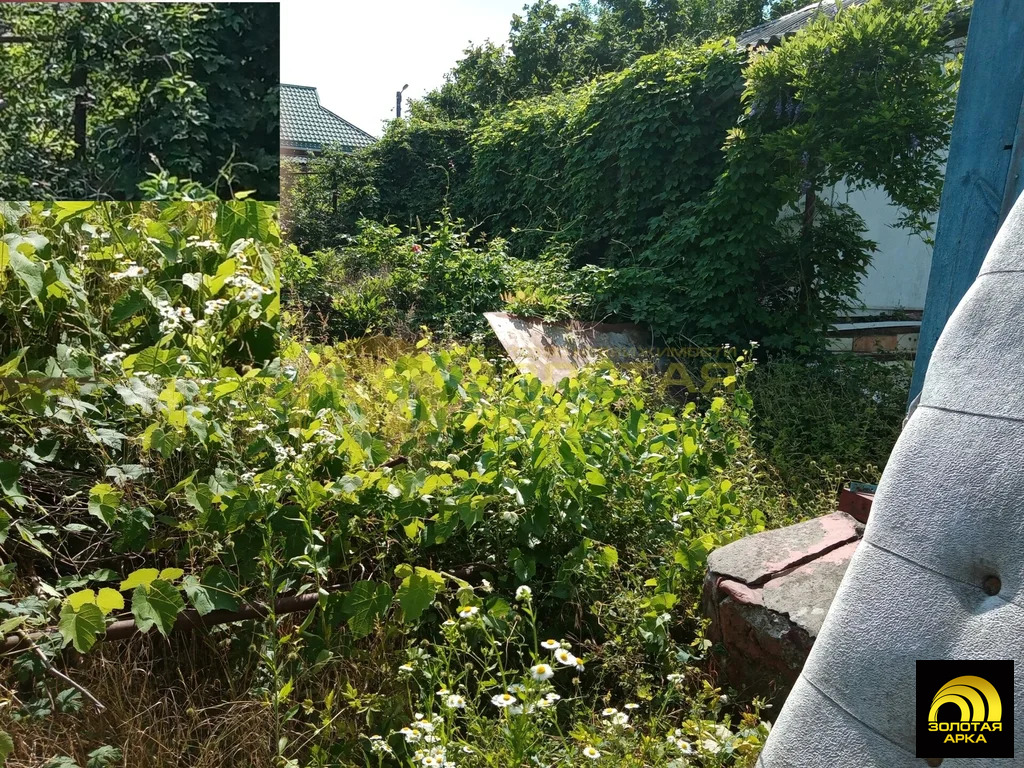 Продажа участка, Смоленская, Северский район - Фото 13