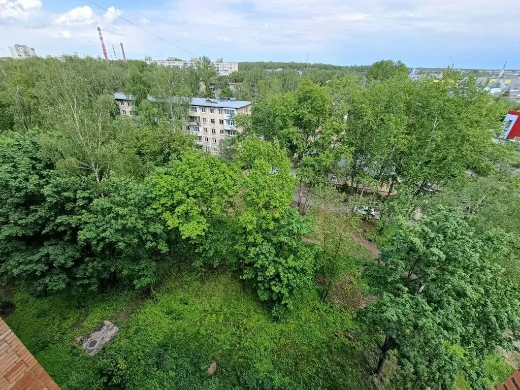 Продажа трехкомнатной квартиры 62.0м Южный просп., 9к4, Электросталь, ... - Фото 20