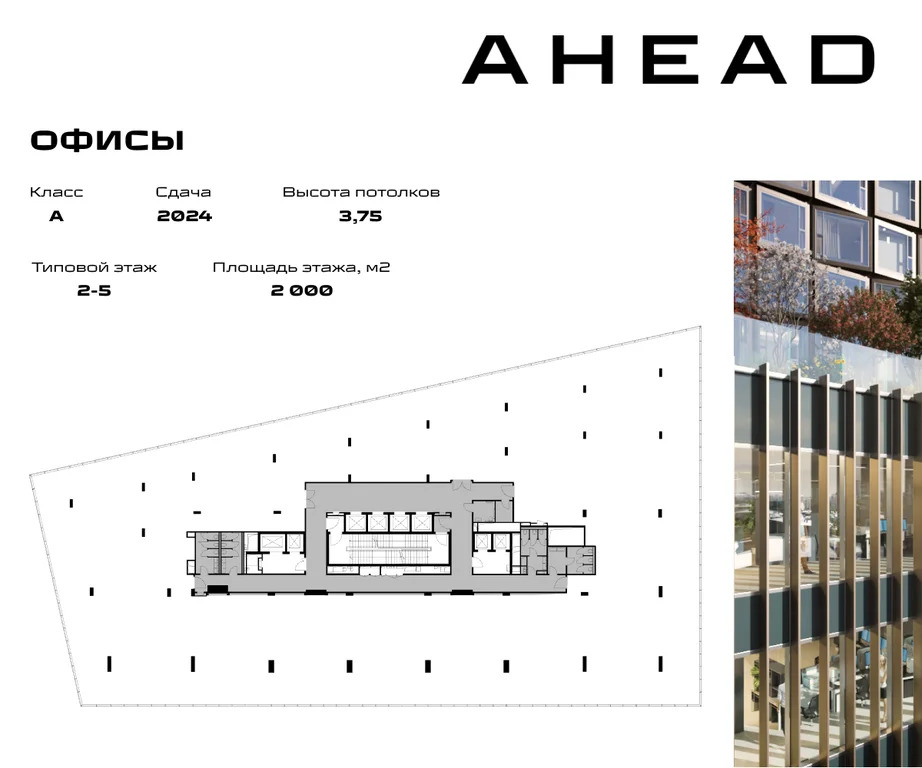 Продажа офиса 2000 м2 - Фото 2