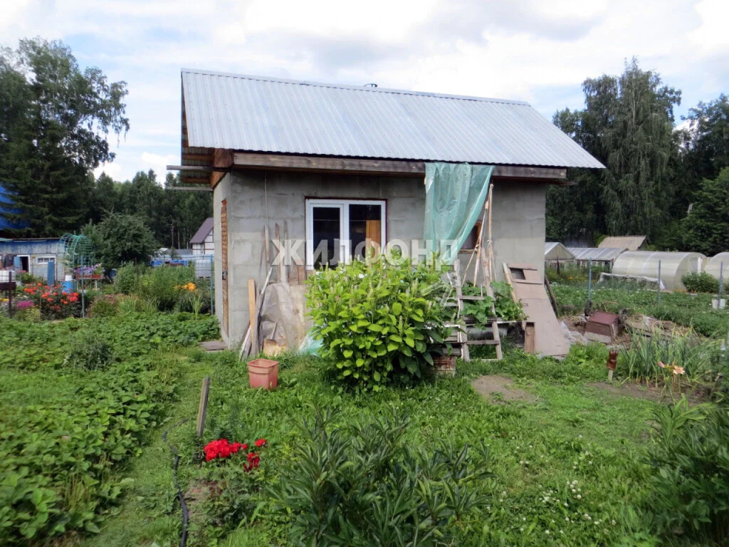 Продажа дома, Новосибирск - Фото 0