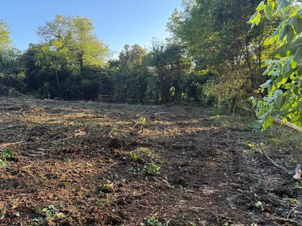 Продается земельный участок 24 сот. - Фото 2