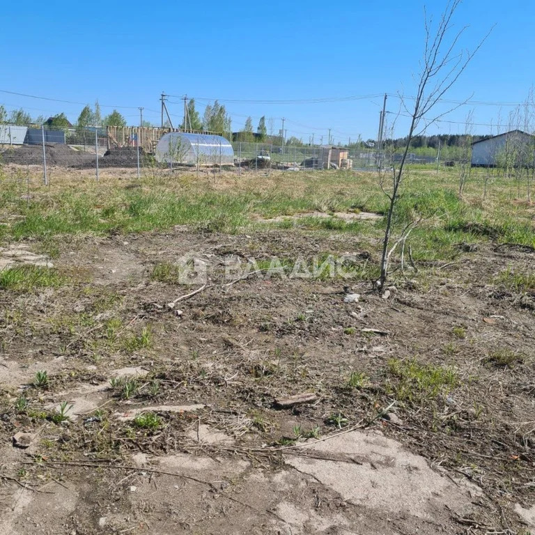 Всеволожский район, коттеджный посёлок Перепелкино,  земля на продажу - Фото 6