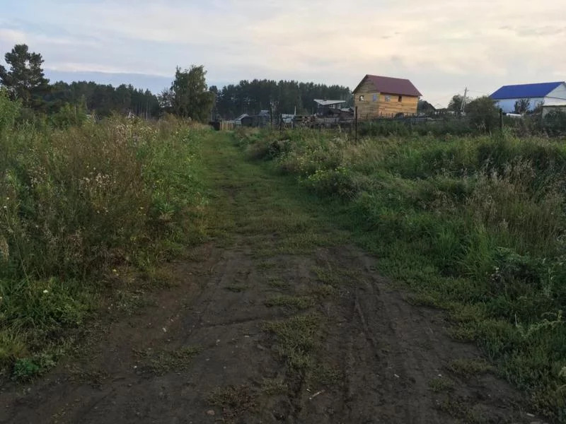 Участок иркутск. Новая Лисиха Иркутск. Новая Лисиха Байкальский тракт. Коттеджный поселок Лисиха Иркутской области. Деревня Лисиха Иркутск фото.