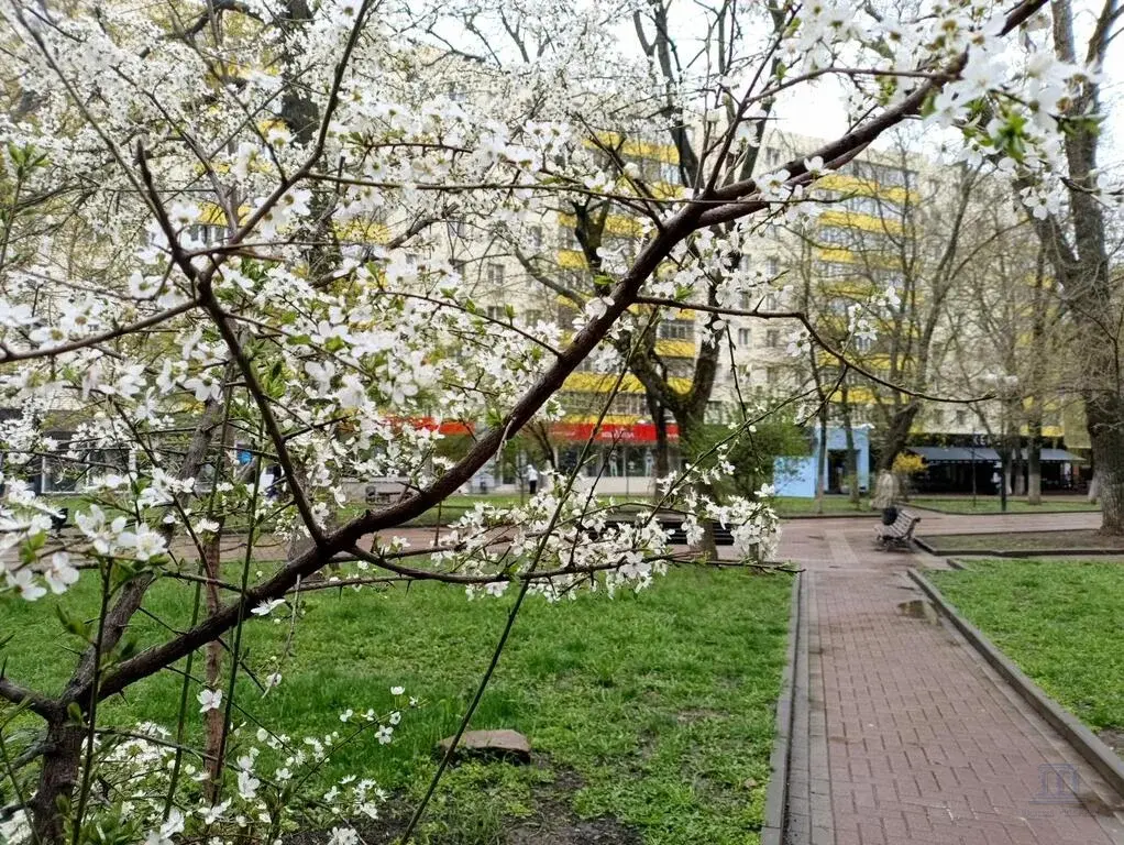 Продаю 2 к квартиру в самом центре Ростова-на-Дону на ул. Пушкинская - Фото 1