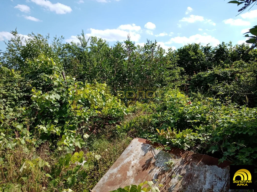 Продажа участка, Смоленская, Северский район - Фото 16