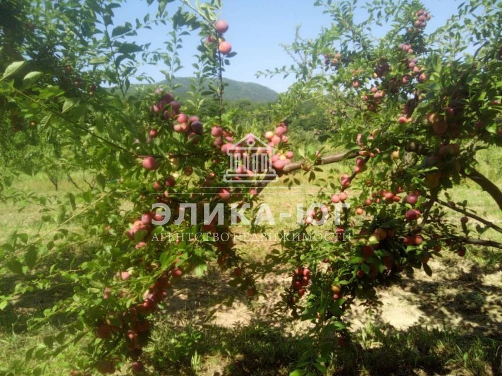 Продажа участка, Дефановка, Туапсинский район - Фото 7