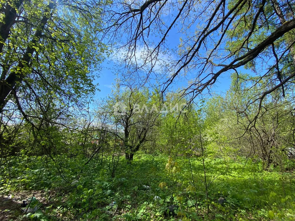 Ленинский городской округ, деревня Жабкино, Троицкая улица,  земля на ... - Фото 13