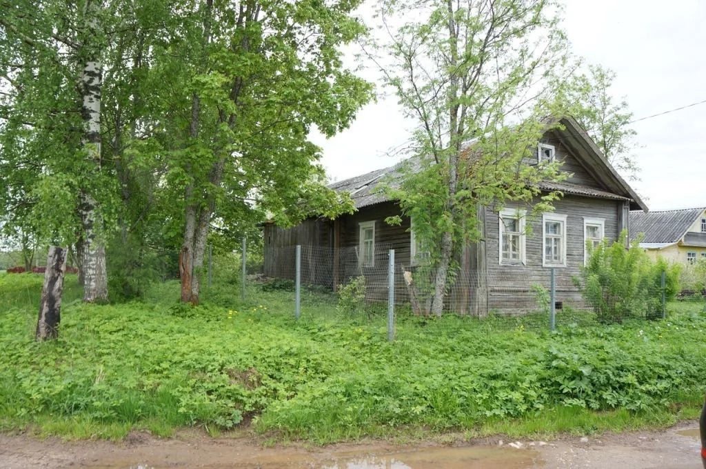 Авито недвижимость вологодская белозерск. Деревня Дресвянка Белозерский район. Вологодская Белозерский район деревня. Деревня Устье Вологодская область Белозерский район. Деревня Устье Белозерского района Вологодской области.