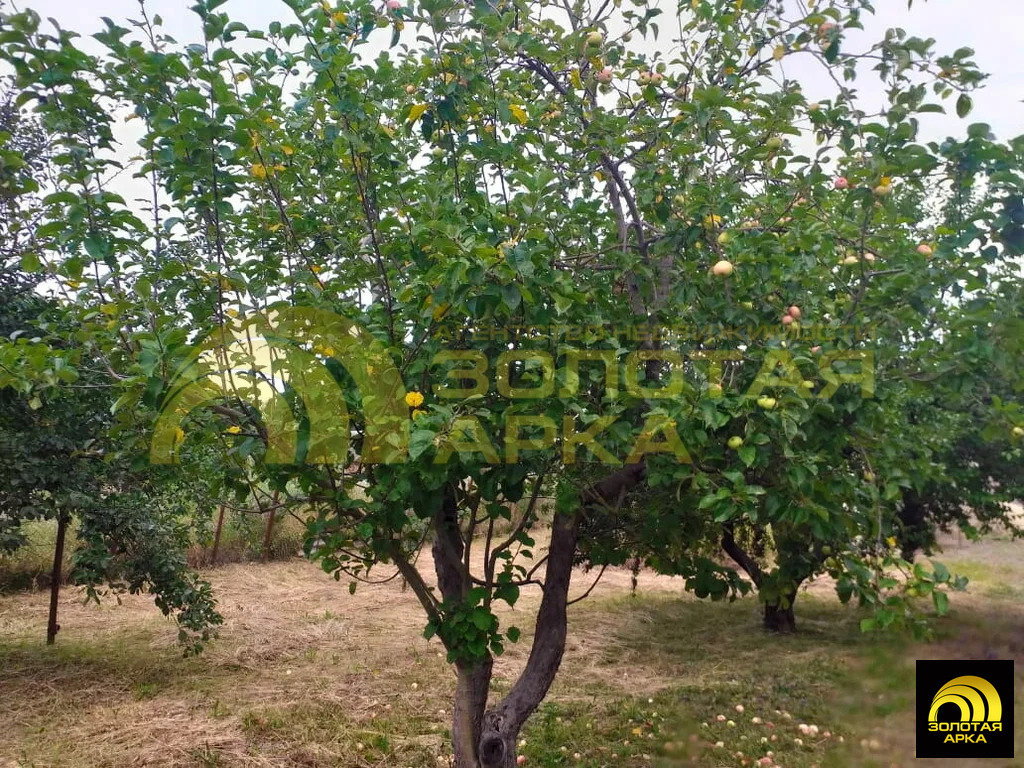 Продажа дома, Свободный, Абинский район, ул. Северная - Фото 22