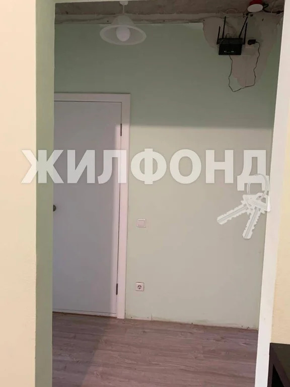 Продажа квартиры, Новосибирск, Виктора Уса - Фото 8