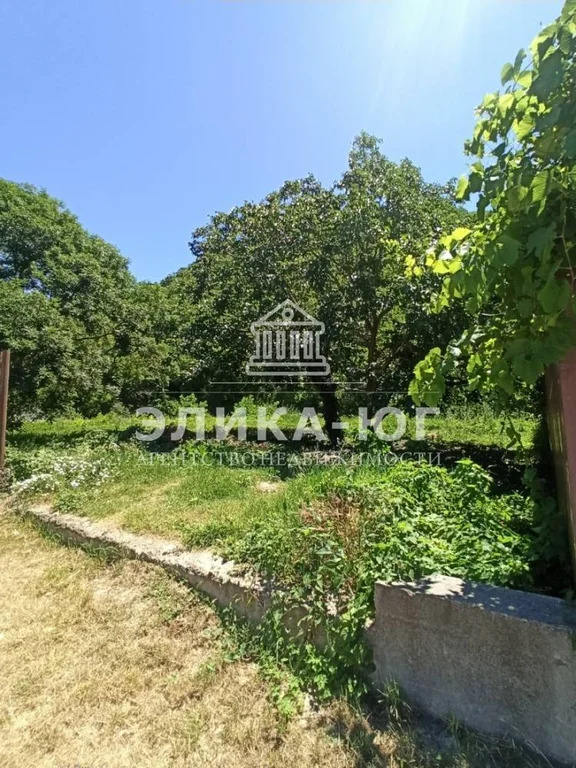 Продажа участка, Пляхо, Туапсинский район, Курортная ул. - Фото 5