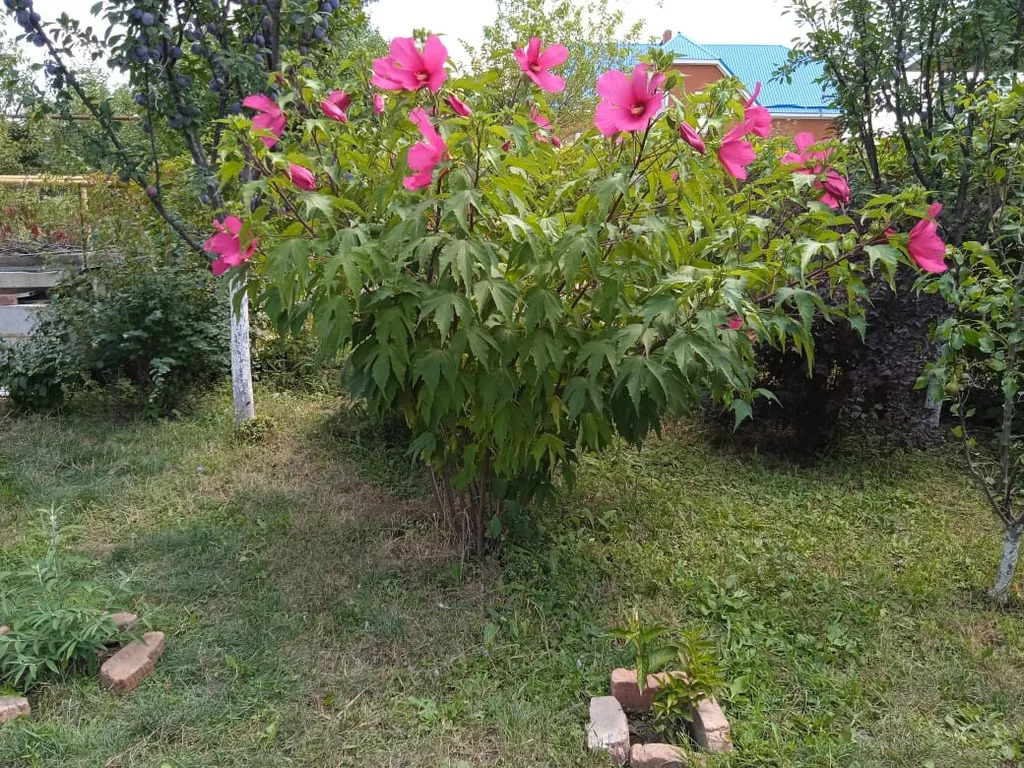 Продажа дома, Северская, Северский район, ул. М.Горького - Фото 16