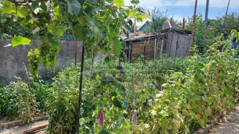 Продажа дома, Георгиевск, ул. Красноармейская - Фото 16