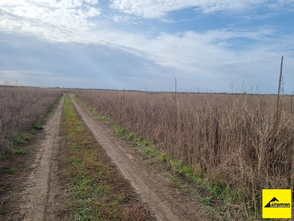 Продажа участка, Ейск, Ейский район, ул. Герцена - Фото 2