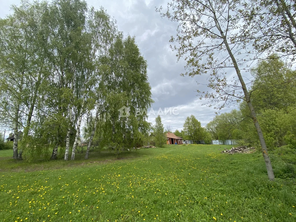 Судогодский район, деревня Михалёво,  дом на продажу - Фото 12