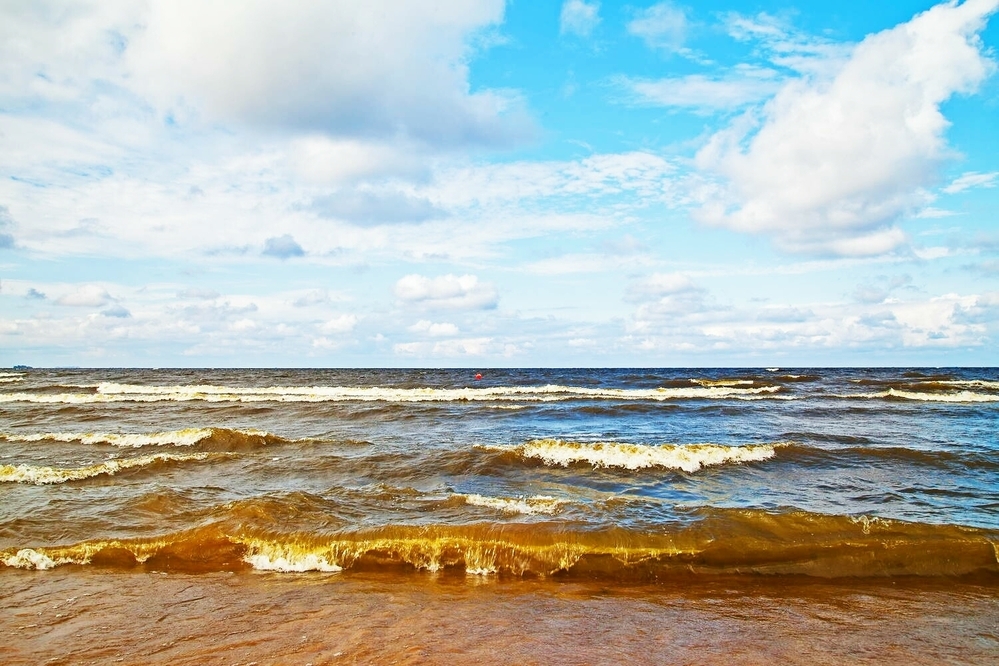 Море в питере название фото