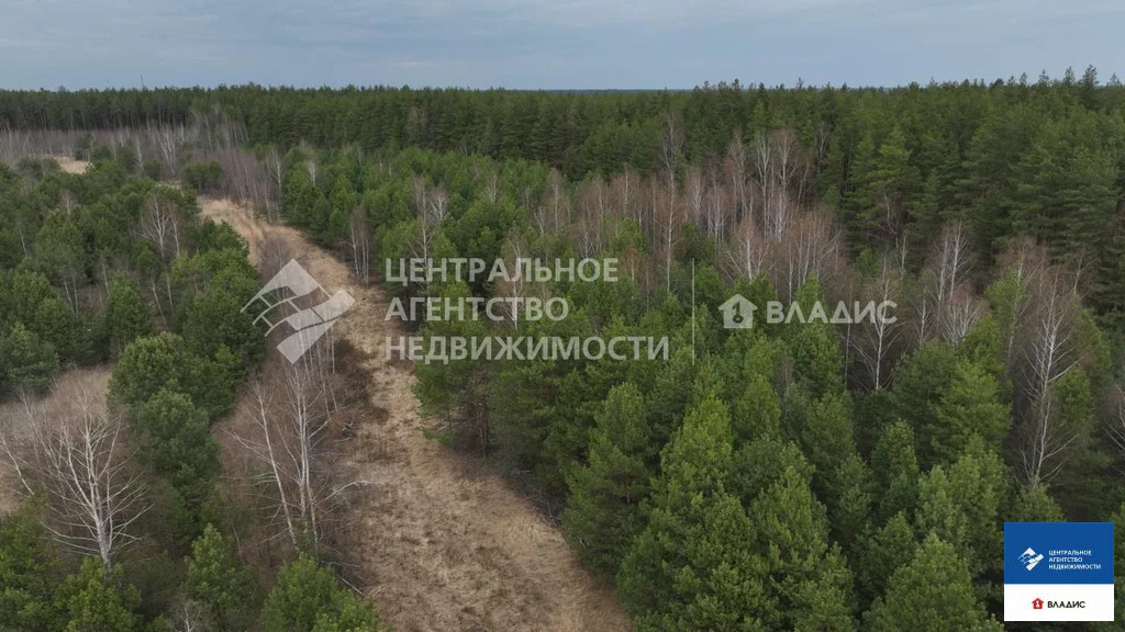 Продажа участка, Клепиковский район - Фото 1