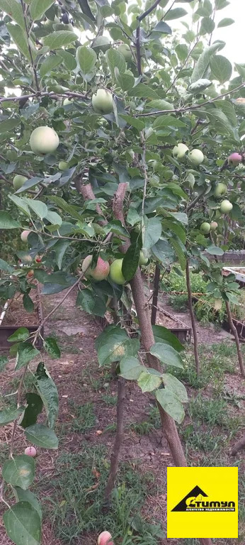 Продажа участка, Ейск, Ейский район, 12 - Фото 5