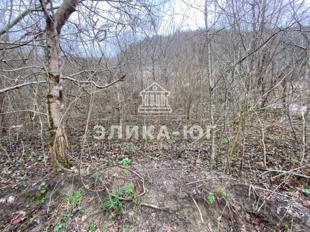 Продажа участка, Тенгинка, Туапсинский район, Прилесье - Фото 6