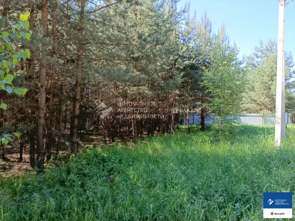 Продажа участка, Алеканово, Рязанский район - Фото 1