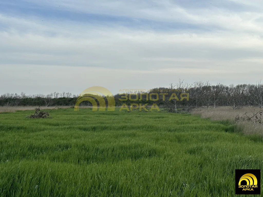 Продажа участка, Кучугуры, Темрюкский район - Фото 3