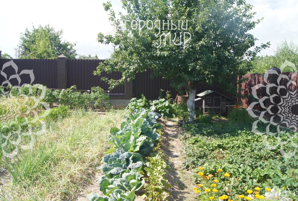 Продам дом, Новорязанское шоссе, 34 км от МКАД - Фото 50