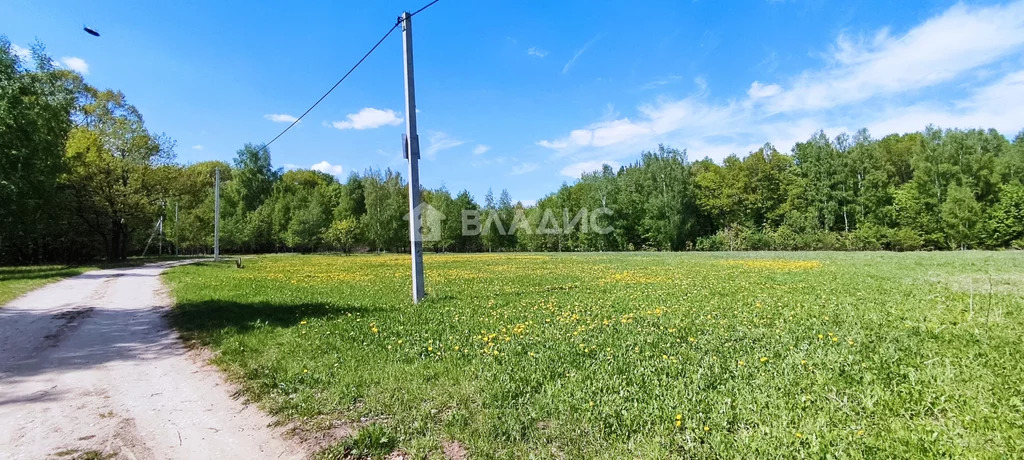 Петушинский район, деревня Пекша, Городок-Левитановская улица, земля . - Фото 3