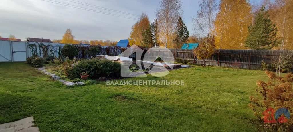 Новосибирский район, садовое товарищество Шафран,  земля на продажу - Фото 9