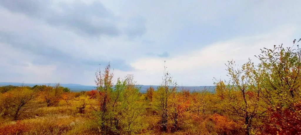 Продажа участка, Новоалексеевский, Северский район - Фото 2